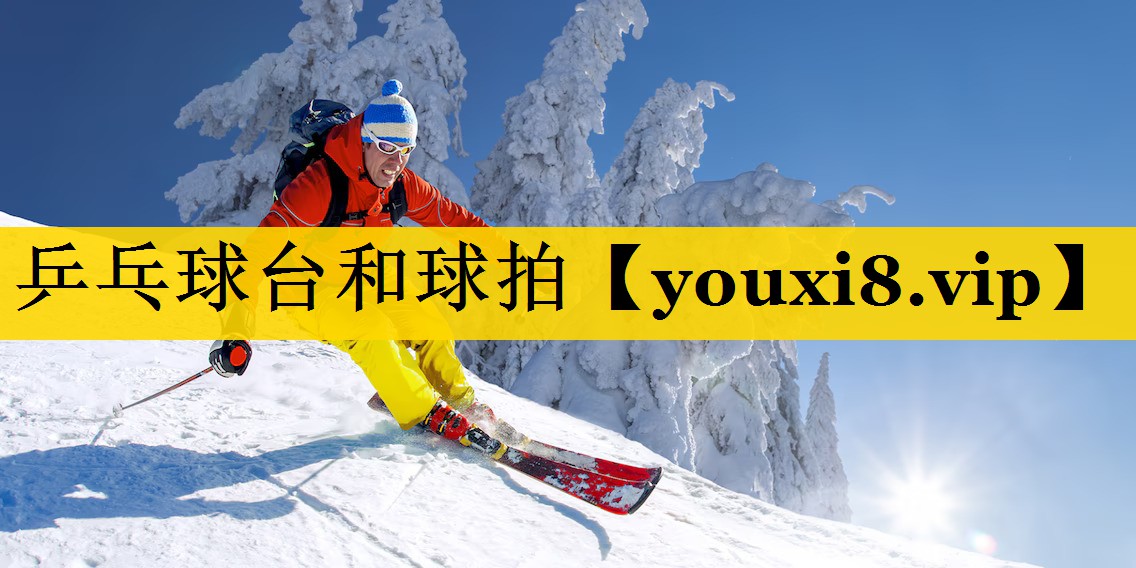乒乓球台和球拍