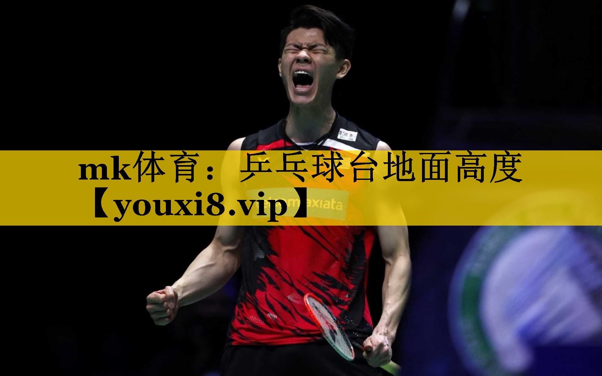 乒乓球台地面高度 乒乓球台地面高度